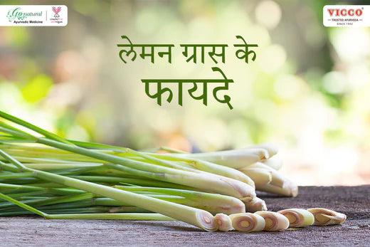 लेमनग्रास: नींबू जैसी खुशबू और ताज़गी