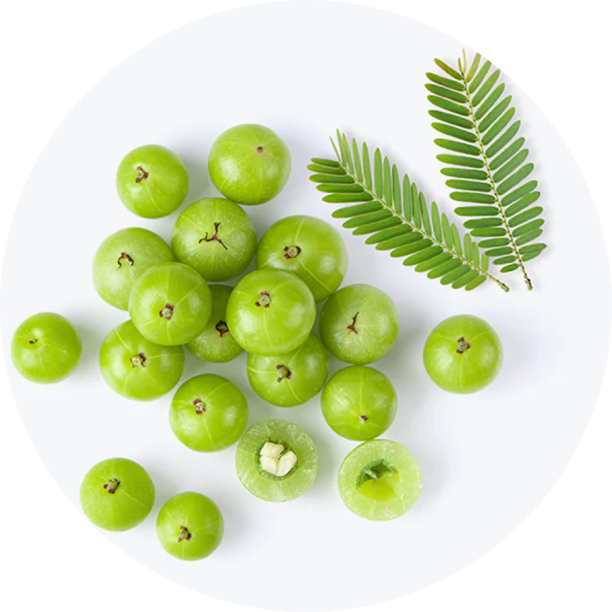 amla