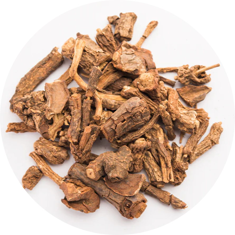 Ayurvedic Anantmul roots