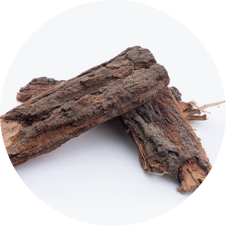 Babool (Acacia arabica) powder