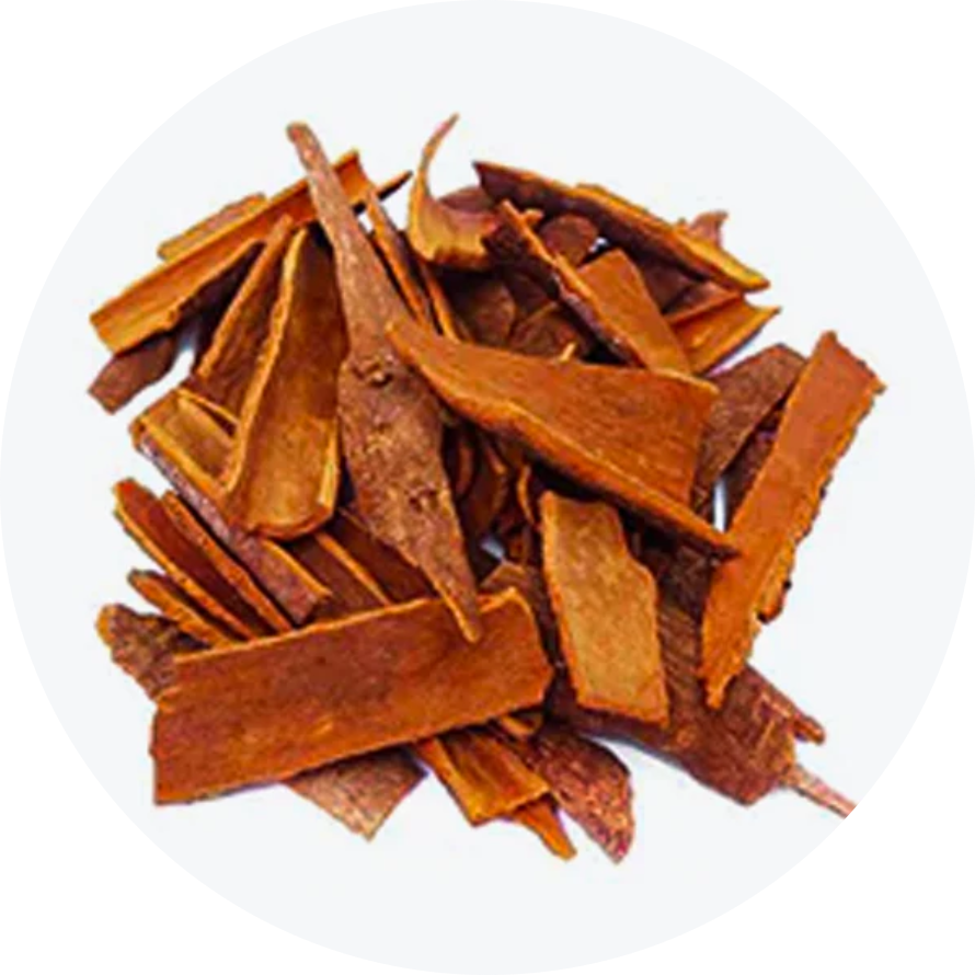pieces of dried Patang wood