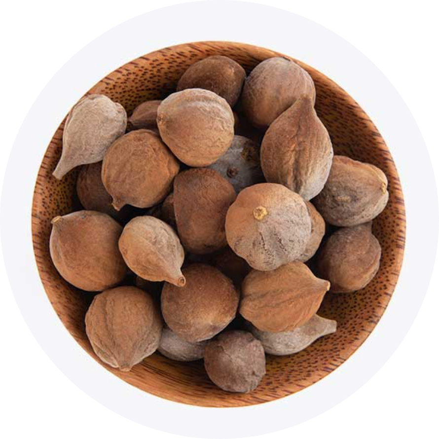 Behada fruit in bowl