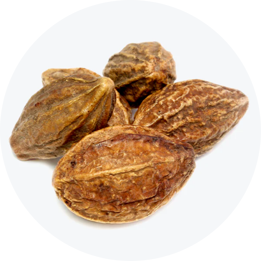 Harada (Terminalia chebula)