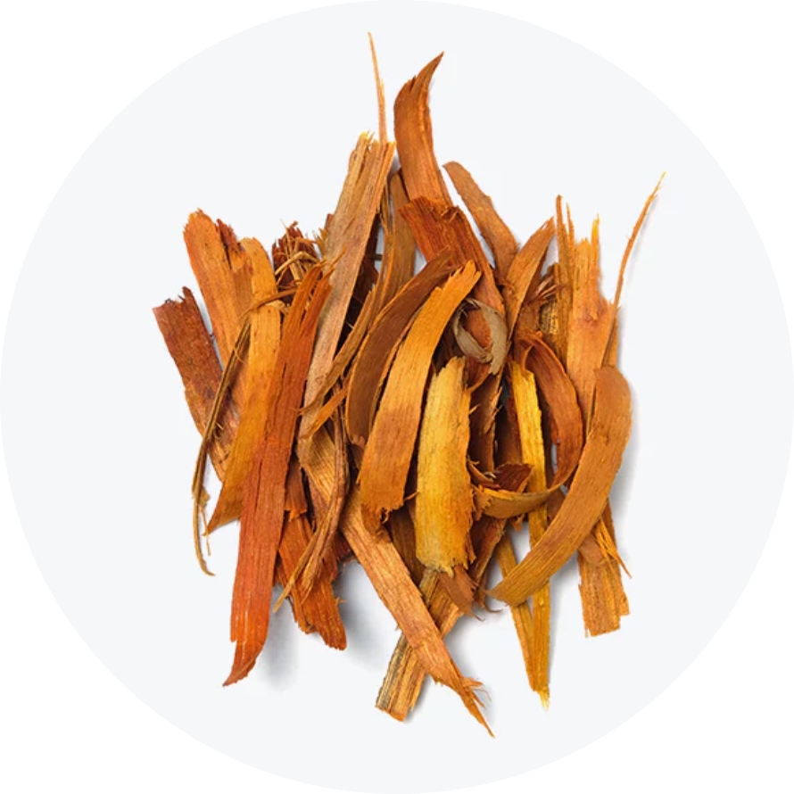 Ayurvedic stick