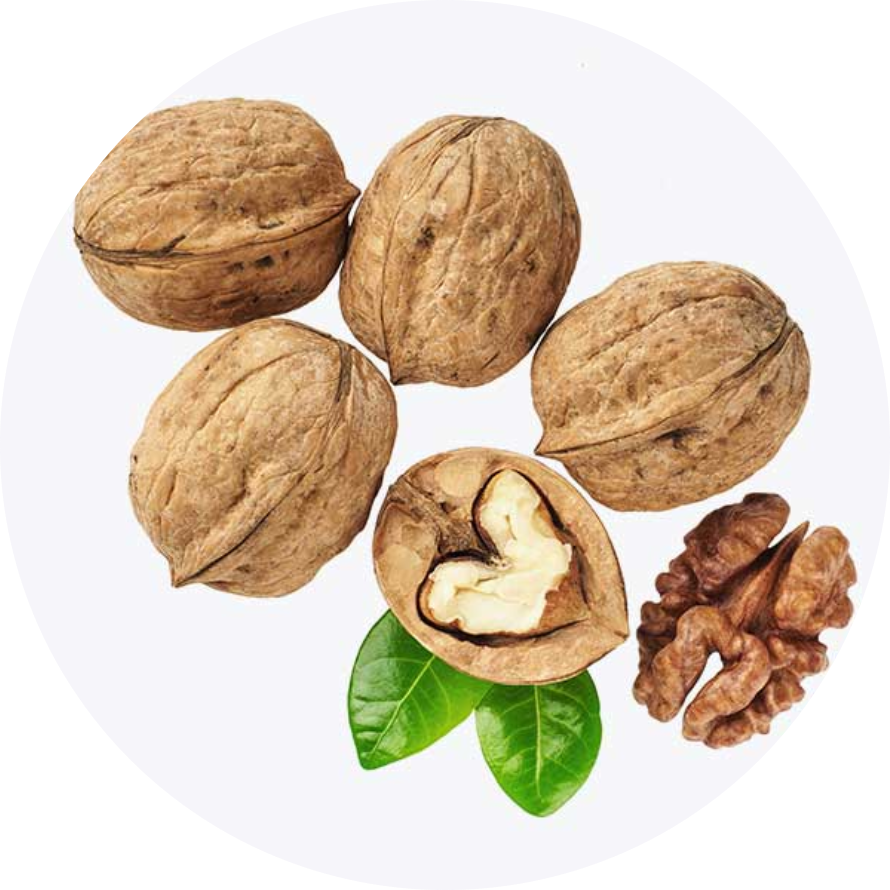 Whole Persian walnuts