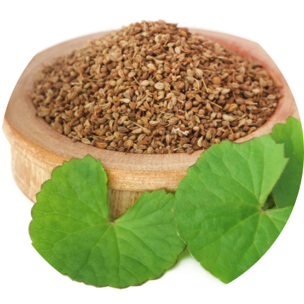 Ajwain seeds