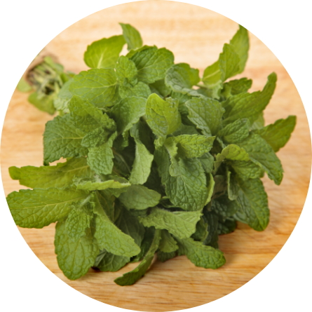Dried mint leaves