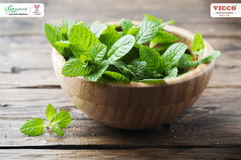 Peppermint: Your Natural Ally for Improved Health and Well-Being