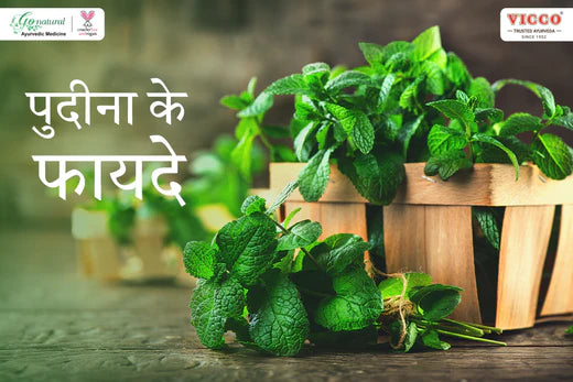 पुदीना: स्वाद और सेहत का खजाना