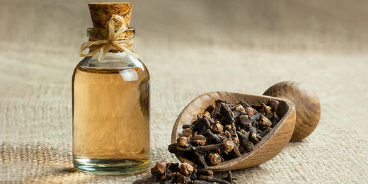 What is Clove oil? Explore Remarkable Benefits of Clove Oil for Teeth
