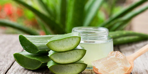 Unlocking the Benefits of Aloe for Skin: A Comprehensive Guide to Aloe Vera Use in Skincare