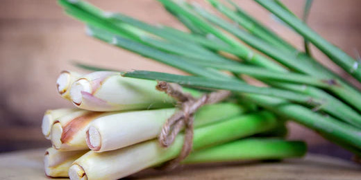 Lemongrass: From Aromatherapy to Digestive Aid - Exploring its Countless Benefits