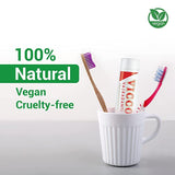 Vicco Vajradanti paste  - Regular200g & Saunf Flavour 200g (pack of 4)