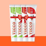 Vicco Vajradanti paste  - Regular200g & Saunf Flavour 200g (pack of 4)